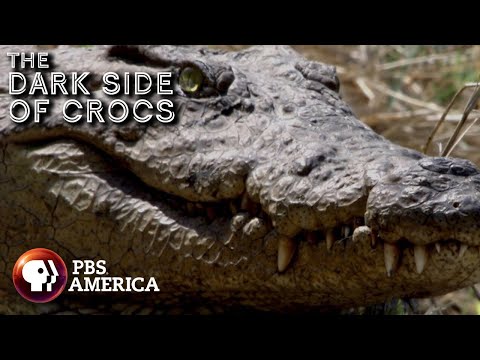 The Dark Side of Crocs FULL SPECIAL PBS America