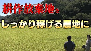 【新ビジネス】企業が田んぼのオーナーになって農家は安定収入を得られる仕組み