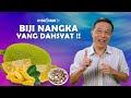 BIJI NANGKA YANG DAHSYAT !!