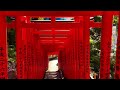 4k hie jinja tokyo walking tour spring 2022