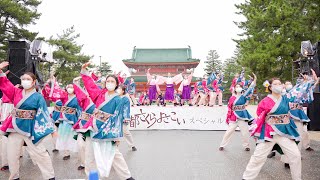 [4K] 京炎そでふれ！花風姿　京都さくらよさこい 2021 2日目 神宮道 さくよさ