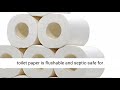 Ultra Soft White Toilet Paper, 4 Ply Comfort Care Bath Tissue, 10 Family Mega Rolls - Highly