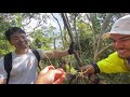 【沖縄観光】沖縄の山に登ってみたら絶景だった！！