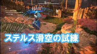 【ホライゾン禁じられし西部】狩場攻略：ステルス滑空の試練