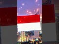 singapore🇸🇬 vs indonesia🇮🇩 | #geography #education #edit #country