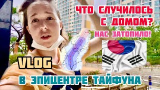 [VLOG] ТАЙФУН в Корее: что творится в эпицентре и последствия | 태풍 부산