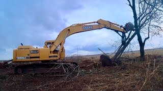 Dangerous Work! - I Fell A Tree On The Excavator..