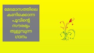 മേടമാസത്തിലെ കണിക്കൊന്ന പൂവിന്റെ സൗന്ദര്യം തുളുമ്പുന്ന ഗാനം