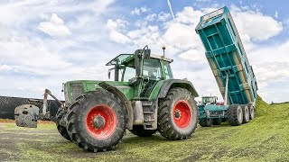 🇫🇷 3 génération de Fendt à l'ensilage ! Fendt Favori 816🤩