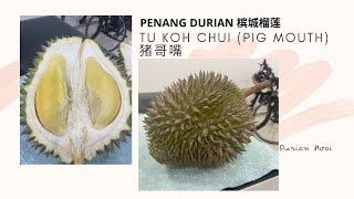 Durian Hooi: Penang Durian - Tu Koh Chui (Pig Mouth) 槟城榴莲 - 猪哥嘴 (Ep.69)