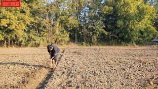 ENGKHOL KOIBA || KHOIBA || CHURI HAIGATPA