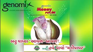 Genomix Presents .. MoneyPower BGII Cotton #કપાસ #cotton #BGIIcotton #MoneyPower