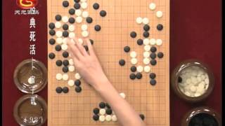 方天丰围棋经典死活：官子谱98