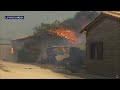 el momento en el que evacuan un establo en grecia por un gran incendio