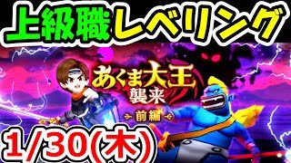 ドラクエウォーク 1/30(木)上級職レベル51を目指してレッツレベリング！【DQW実況】