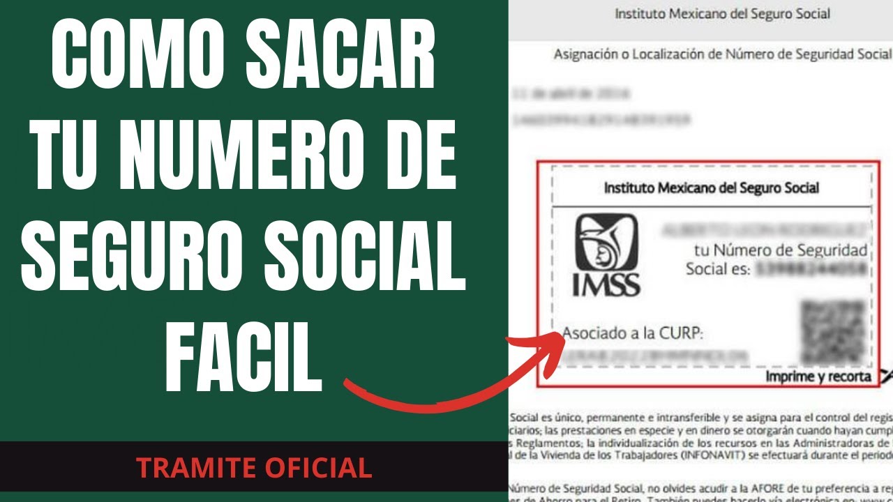 Como Sacar Y Descargar Mi Numero De Seguro Social | 2024 | IMSS | NSS ...