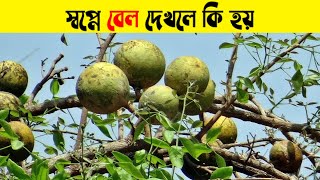 স্বপ্নে বেল দেখলে কি হয় | স্বপ্নে বেল খেতে দেখলে কি হয় | স্বপ্নে পচা বেল দেখলে কি হয়