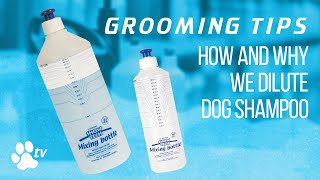 Grooming Tips: how and why we dilute dog shampoo | TRANSGROOM