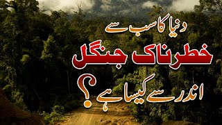 Amazon Forest In Urdu  || Amazon Rainforest Amzing Information In Urdu/Hindi