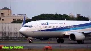 B737迫力のエンジン音　伊丹空港　ANA　B737　離陸