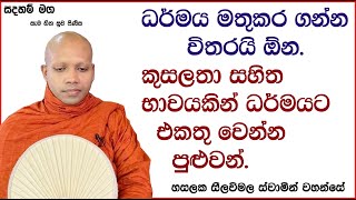 ධර්මය මතුකර ගන්න විතරයි ඕන.816Ven Hasalaka Seelawimala Thero