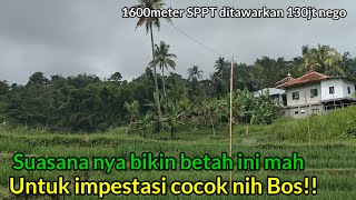 Kampung Sukamulya Adem ayem‼️Ada Tanah 1600meter Ditawarkan 130jt Nego cocok untuk impes