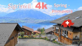 SWITZERLAND - SIGRISWIL - GUNTEN- INTERLAKEN in Spring -Walking Tour beautiful villages - SUIZA - 4k