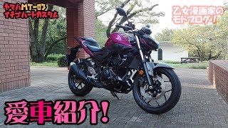 愛車紹介☆ヤマハ MT-03 イチゴハートカスタム -MotoVlog- 乙女漫画家のモトブログ