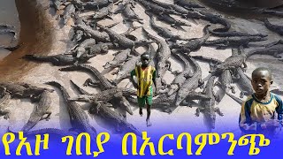 የአዞ ገበያ በአርባምንጭ | አዞን እንደ ቤት እንስሳ የምታላምደው አርባምንጭ | Crocodile Market in Arbaminch Ethiopia