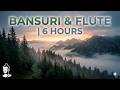 Bansuri & Flute Music | 6 Hours of Deep Healing