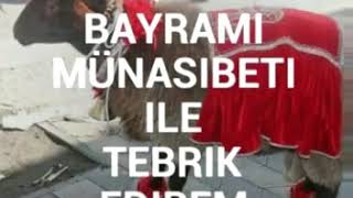 Qurban bayramn zı tebrik edrem