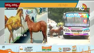 Viral Video : కోయంబత్తూరులో కన్నీరు పెట్టించిన దృశ్యం | Horse Incident In CoimBatore | 10TV