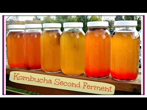 How To Make Fizzy & Flavored KOMBUCHA | Just Like GT's How To Make Fizzy & Flavored KOMBUCHA | Just Like GT's