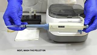 GENOMIC DNA FROM PLANT USING CTAB METHOD TEACHING KIT