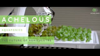 Achelous Systems - Aquaponics - Decentralized Agriculture