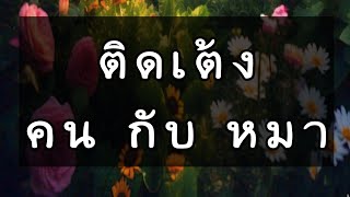 เรื่องสั้นน้องแมวน่ารักๆ