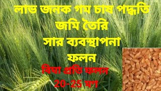 আধুনিক পদ্ধতিতে গম চাষ, লাভ জনক গম চাষ পদ্ধতি, কিভাবে গম চাষ করতে হয়,উন্নত জাতের গম চাষ পদ্ধতি