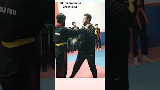 1st Technique in Green belt #martialarts #bredanfou #karate #taekwondo #asifcheema #MMA #HMA #kungfu