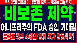 비보존 제약 - 트럼프 정책 + FDA 승인 기대감 비보존제약 주가 전망 및 대응