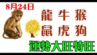 8月24日生肖運勢_龍、牛、猴大吉 - 十二生肖