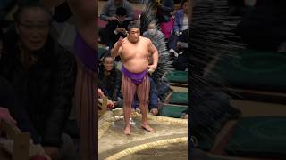 尊富士 #相撲 #sumo #令和6年大相撲初場所十三日目 #尊富士