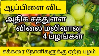 அதிக சத்துள்ள விலை மலிவான 4 பழங்கள் | Best healthy fruits | fruits benefits