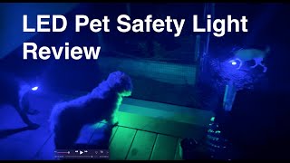 Clip-On LED Pet Collar Safety Light Review - Nite IZE vs. Novkin