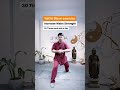 taichi 太极拳 qigong 气功 meditation kungfu 功夫 martialarts taichiquan healthylifestyle relax