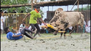 Arasur Vadamadu Manjuvirattu 2022 Videos 04 | அரசூர் வடமாடு மஞ்சுவிரட்டு 2022 Videos 04