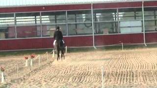 Bruce and Gamble: First Pre-Training Event - Dressage - 64.6%