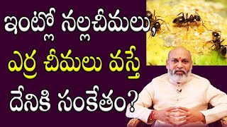 ఇంట్లో నల్ల చీమలు, ఎర్ర చీమలు వస్తే దేనికి సంకేతం? | Nanaji Patnaik Vasthu | Dharma Sandehalu