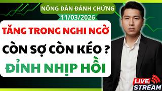 Chứng khoán hôm nay| Nhận định thị trường : Còn sợ còn kéo ? Đỉnh nhịp hồi ở đâu