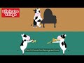 amazing cow facts you didn t know 🐄 5 interesting facts about cows.