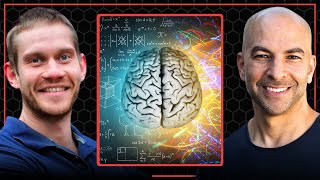 Tasks and activities that support and improve cognitive function | Peter Attia and Tommy Wood